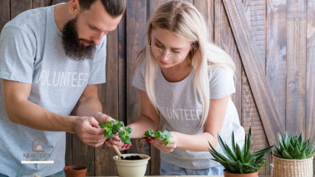 Caring for Your Indoor Eucalyptus Plant - Newtopy