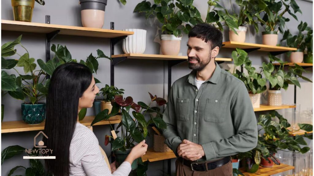 Eucalyptus Plant Indoor Benefits - Newtopy