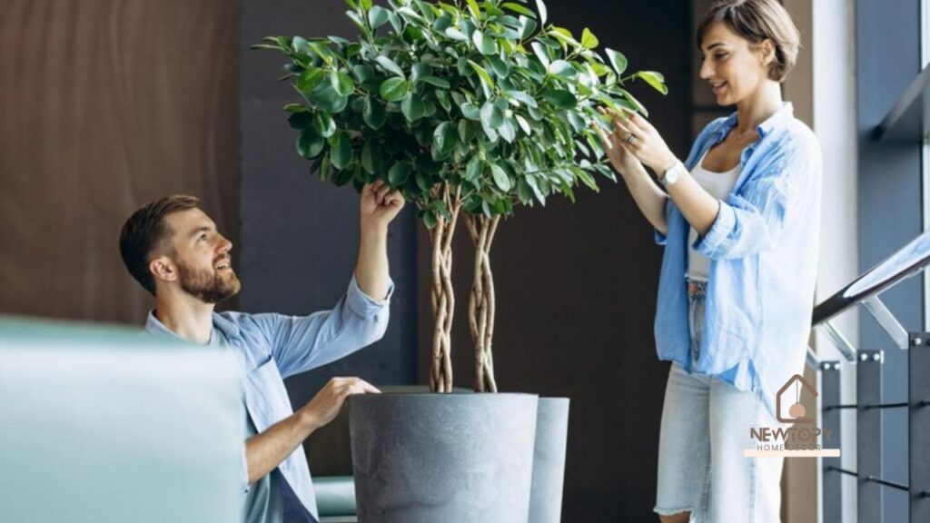 Styling Tips for Mid Century Modern Plant Integration - Newtopy