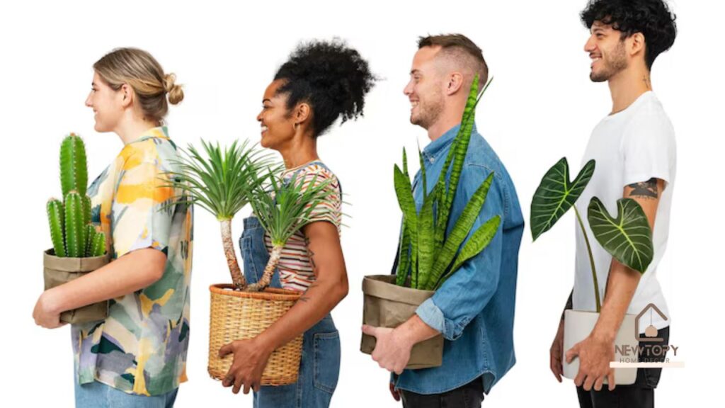 Top Picks for Mid Century Modern House Plants - Newtopy