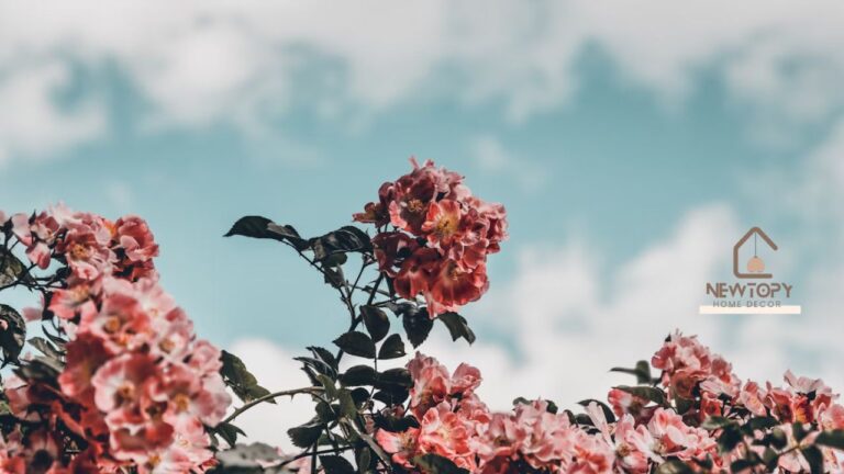 Decadgarden Explore the Best of Nature’s Elegance