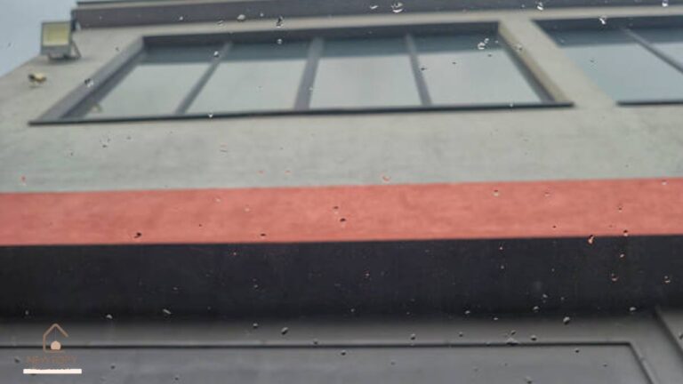 house window rain deflector - Newtopy