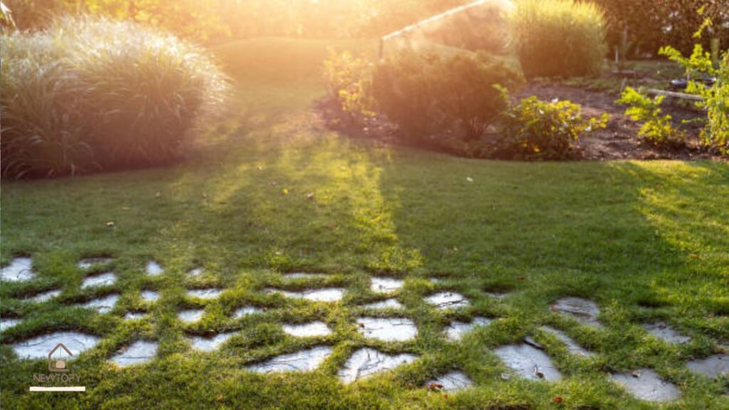 florida landscaping ideas
