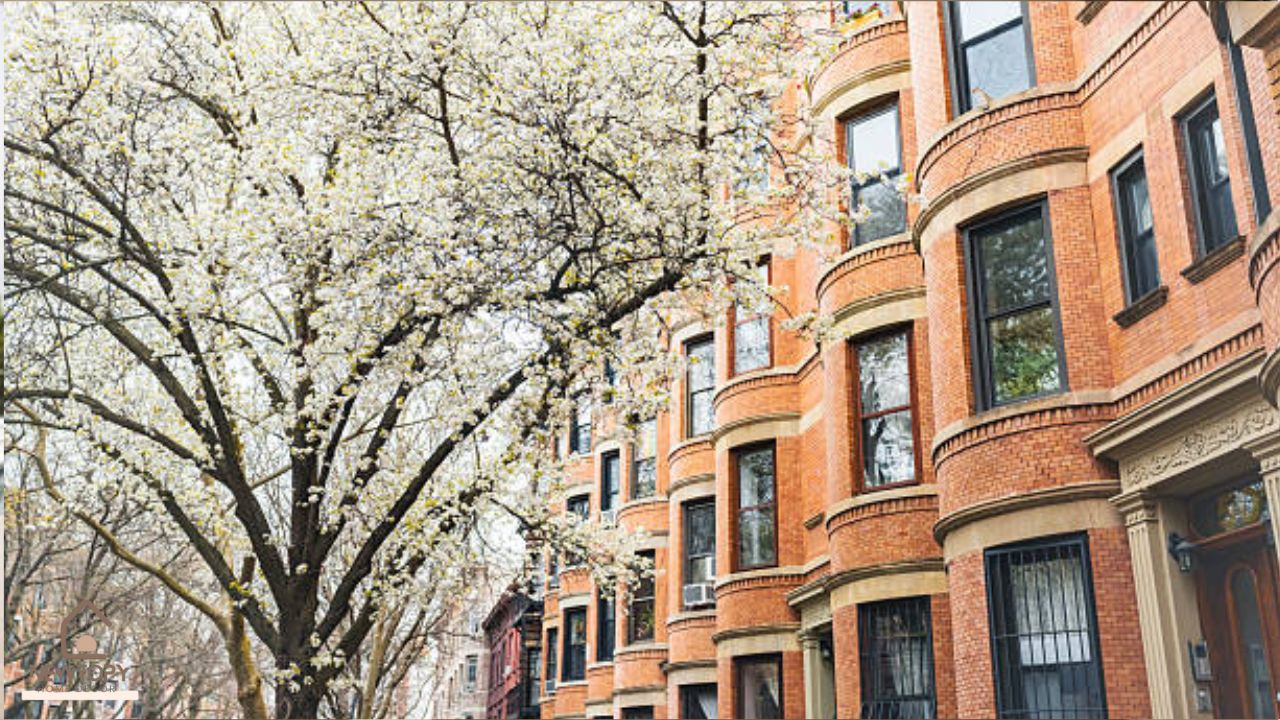 Flat Branch Home Loans