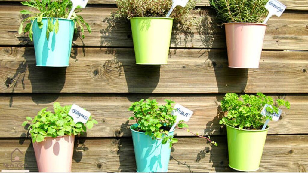 Herbs for the Kitchen Garden