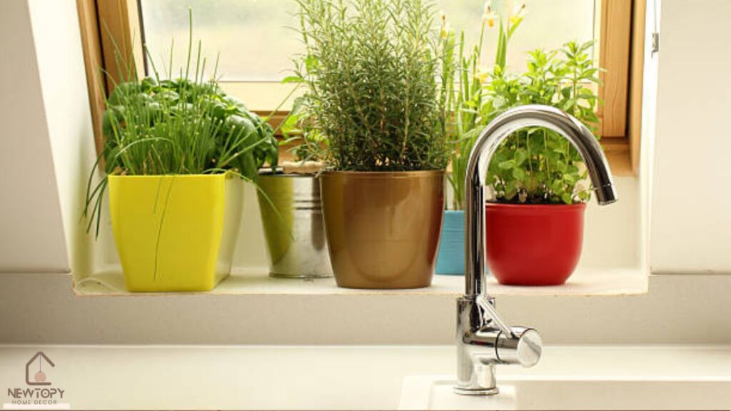 Kitchen Garden Window