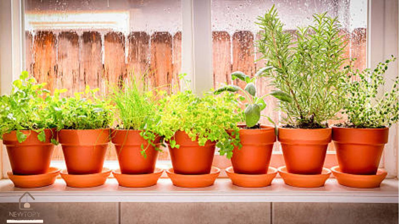 Kitchen Garden Window